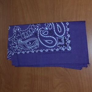 Vtg Hav-A-Hank Purple Paisley Cotton Bandana Made in USA